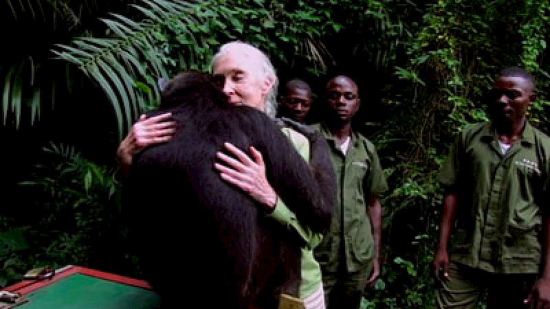 Jane Goodall on why there is still hope