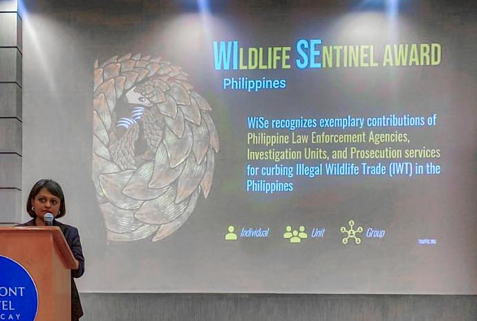 Kanitha Krishnasamy, Director of TRAFFIC Southeast Asia, introducing the WiSe award at the Opening Programme of the 4th National Wildlife Law Enforcement Summit.