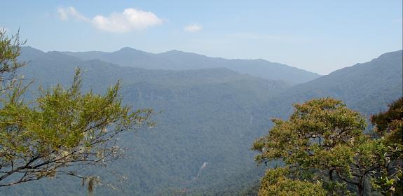 Taman Negara National Park Malaysia / Suzalinur Manja Bidin