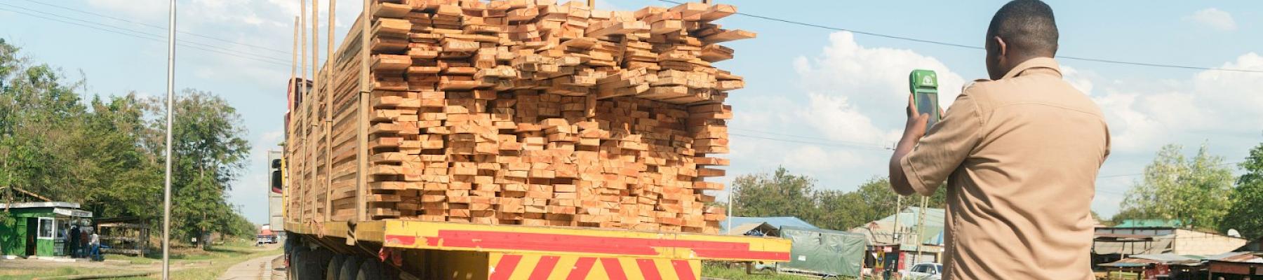 A forestry official in action with the Timber Tracker © Sam Obae / TRAFFIC