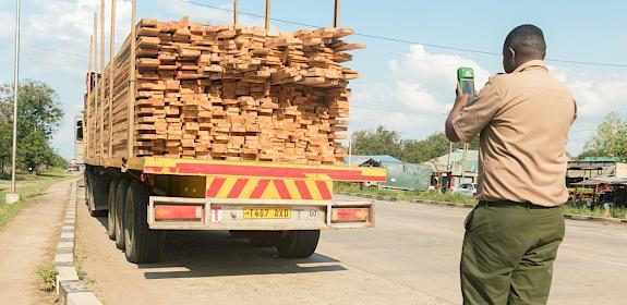 A forestry official in action with the Timber Tracker © Sam Obae / TRAFFIC