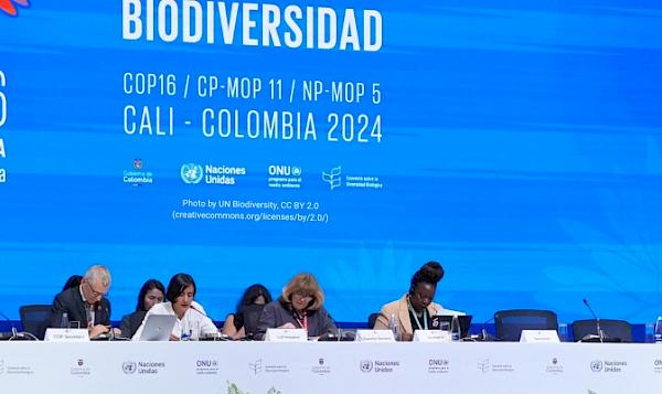 Historic wins, important progress, yet critical unfinished business: outcomes of COP16