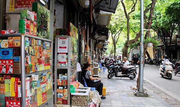 Viet Nam and China FORGE Historic Partnership to Advance Sustainable Traditional Medicine Industry and Protect Endangered Species