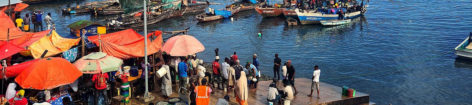 A busy marine landing site and fish market in Zanzibar. The market is an essential source of revenue for artisanal fishers but is need of increased enforcement and regulation to avoid illegal and unsustainable practices.