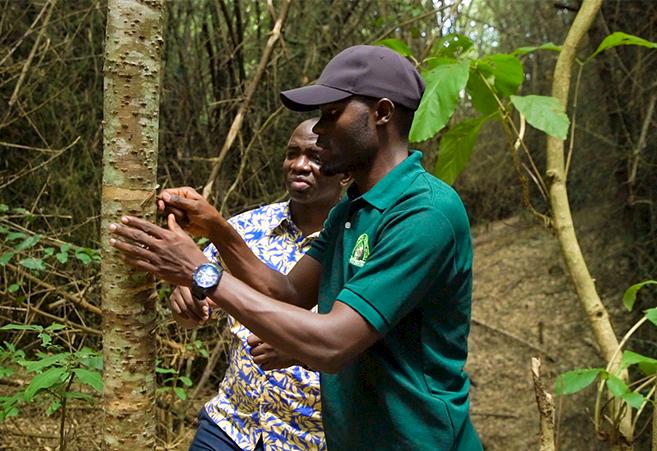 the frontline of wildlife conservation