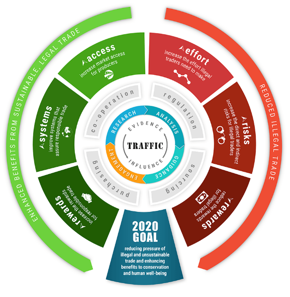 Traffic Analysis. Traffic (Conservation programme). Система Bhag.